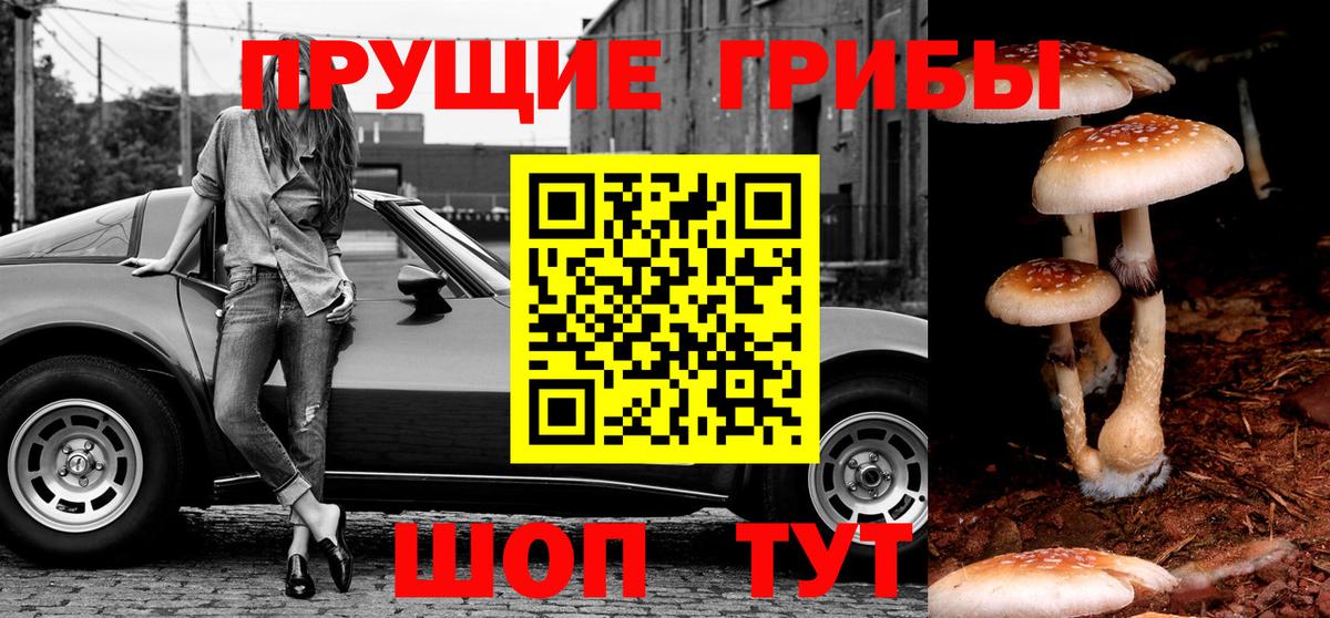 Галлюциногенные грибы Magic Shrooms  Вход с VPN  Королёв 